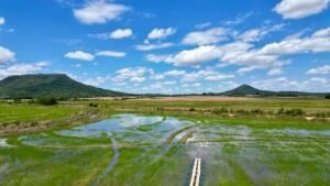 Como estamos catalisando impacto climático em escala de megatoneladas no Brasil