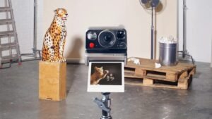 Polaroid lança câmera que promete "truques de fotógrafo" com apenas um botão