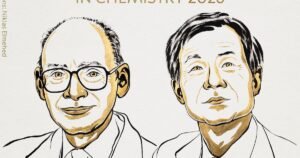 Cientistas ganham Nobel de Química 2026 por resolverem ‘mistério químico’ de 1 século